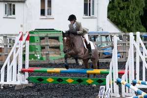 Class 3 -  Fences not above 2'3